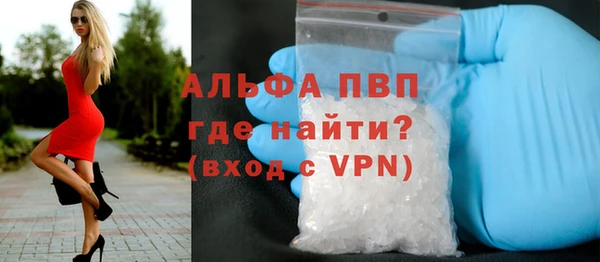 ГАЛЛЮЦИНОГЕННЫЕ ГРИБЫ Белокуриха