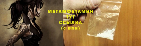 прущие грибы Беломорск