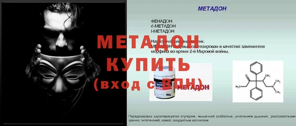 прущие грибы Беломорск