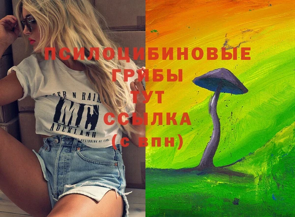 ГАЛЛЮЦИНОГЕННЫЕ ГРИБЫ Белокуриха