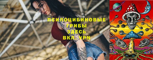 прущие грибы Беломорск