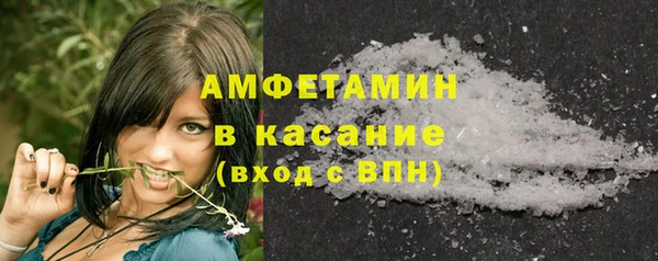 прущие грибы Беломорск