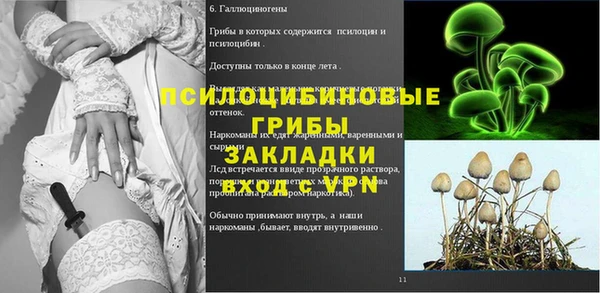 ГАЛЛЮЦИНОГЕННЫЕ ГРИБЫ Белокуриха