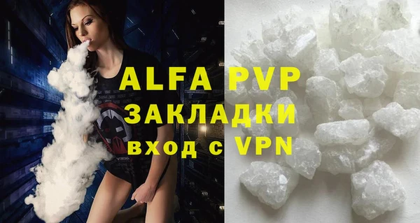 прущие грибы Беломорск
