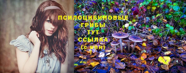 ГАЛЛЮЦИНОГЕННЫЕ ГРИБЫ Белокуриха